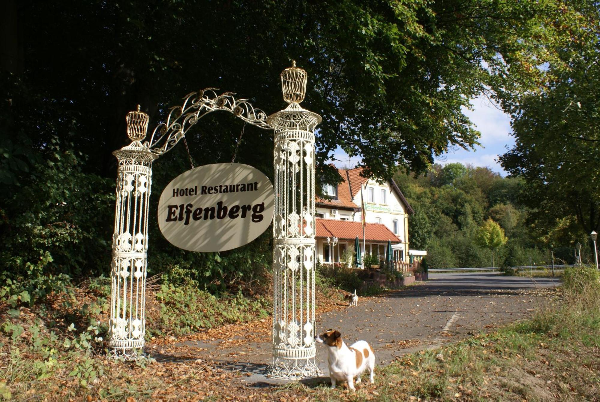 Hotel Elfenberg Schieder-Schwalenberg Dış mekan fotoğraf