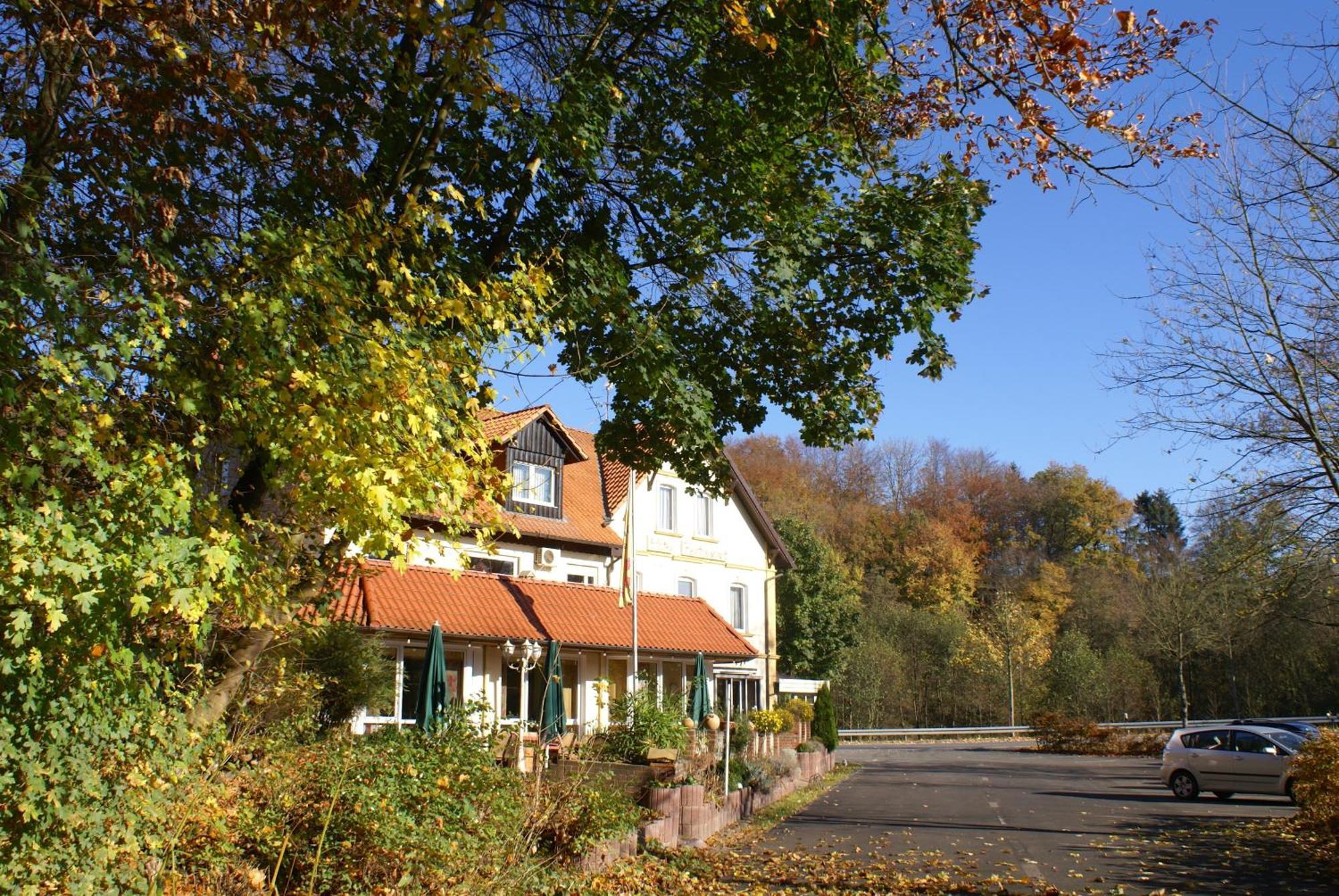 Hotel Elfenberg Schieder-Schwalenberg Dış mekan fotoğraf